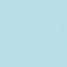 Image result for Megalochlamys revoluta