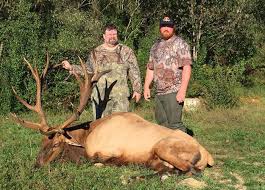 Chasing big foot and sasquatch. S3da Offers Kentucky Bull Elk Tag Bowhunting Net