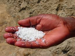 Where is oyo 9220 near salt lake sector 1 located? Foraging Salt Inland