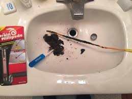 drain snake