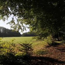 Op deze pagina zult u op de hoogte gehouden worden omtrent alle activiteiten, veranderingen en verhuur aanbod rondom de wildbaan De Wildbaan Leuvenheim Home Facebook