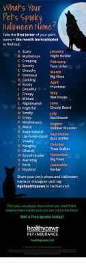 Cool username ideas for online games and services related to freefire in one place. What S Your Pet S Spooky Halloween Name Healthy Paws Pet Insurance