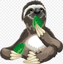 With tenor, maker of gif keyboard, add popular cartoon animated gifs to your conversations. Sloth Cartoon Royalty Free Png 1837x1855px Sloth Beak Bear Bird Bird Of Prey Download Free