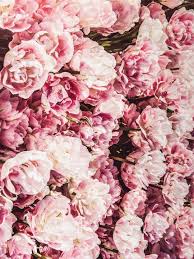 Flowers Pink Pastel Modern Art Minimal Wall Art Print Art Print By Scandi Home X Small In 2020 Flower Phone Wallpaper Flower Aesthetic Flowers