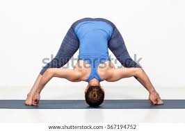 Shutterstock Puzzlepix