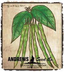 Check spelling or type a new query. Jade Andrews Seed Company