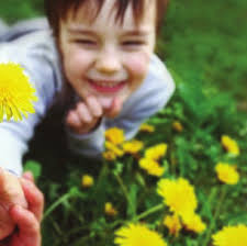 AwoNderFul adveNture