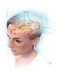 MSHS Alumni Connections Mag Fall 2015