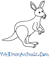 Each episode presents a new animal and answers important questions about it and its habits. How To Draw A Cartoon Kangaroo