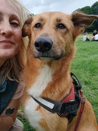 The Acomb Collective