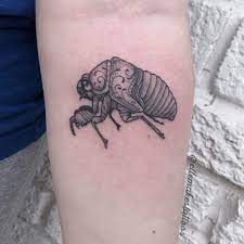 Mar 07, 2018 · a burrowed cicada could also be interpreted as a sign of the past, and it's emergence is a sign of the present. 22 Cryptic Cicada Tattoo Designs And Where To Ink Them Cicada Tattoo Tattoos Cicada