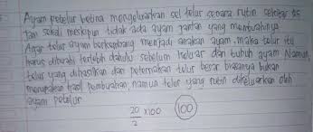 Ayam Petelur Diberi Perlakukan Secara Khusus Agar Dapat Menghasilkan Telur Telur Ayam Yang Brainly Co Id