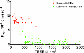 Cause, there are 5 letters in my name. Improved Method For The Establishment Of An In Vitro Blood Brain Barrier Model Based On Porcine Brain Endothelial Cells Protocol Translated To Dutch