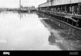 Image result for Gray 1972 Fleet