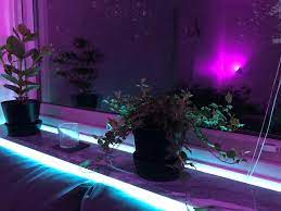 If doorbell rings between 21h and 6h, toggle hue light (s) on. Hue With Plants Hue