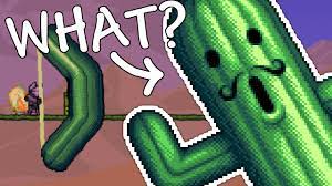 It spawns after picking up the extra succulent cactus dropped by the alpha cactus worm. Tmodloader The Joostmod Terraria Community Forums
