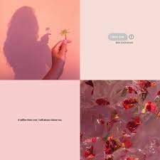 Prodent 300 pieces of sheaths,covers,sleeves for dental intraoral camera pin by lila on aesthetic music aesthetic types of aesthetics. Love Songs Playlist Cover Love Songs Playlist Pretty Wallpaper Iphone Spotify Playlist Country Playlist