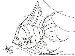 Kidsplaycolor.com puffer fish image coloring page : Fish Coloring Pages Realistic Coloring And Malvorlagan
