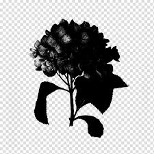 Just 28 simple and beautiful rose tattoo ideas that are too pretty for words. Black And White Flower Hydrangea Tattoo Black White M Rose Family Tattly Silhouette Leaf Transparent Background Png Clipart Hiclipart
