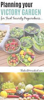 Food Security Via Vegetable Gardening Food Security Food Grow Your Own Food