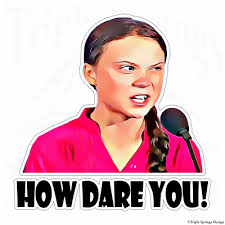 Greta Thunberg How Dare You Vinyl Decal Sticker Window Truck Car Wall  Laptop. | eBay | Decals stickers, Vinyl decal stickers, Decals