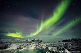 This will be the horizon line and everything in the sky will be painted above this line. The Arctic Facts For Kids Information Pictures Video In 2021 Arctic Habitat Arctic Northern Lights Facts