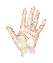 Последние твиты от pinky finger means pinky finger (@eyedna2). What Do Your Fingers Say About You Real Simple