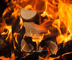 Whether you buy firewood or harvest it yourself, it's important to know which kind is best for your fireplace or wood stove, as well as how best to dry there are many firewood alternatives worth exploring too. Firewood Delivery In Virginia Maryland Saunders Landscape Supply