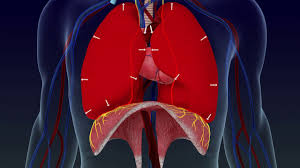 Lungpacer Diaphragm Pacing Therapy Youtube