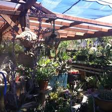 My son was falling asleep and my husband. California Cactus Center Miscellaneous Shop In Pasadena