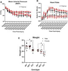 A wide variety of lp gas detector options are available to you, such as remote control, tamper alarm, and waterproof / weatherproof. Identification Of Novel Targets Of Rbm5 In The Healthy And Injured Brain Sciencedirect