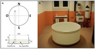 Representation Schematique A Et Photographie B De La Piscine De Download Scientific Diagram