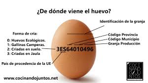 Resultado de imagen de 0+huevos