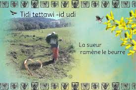 Proverbe Berbere De Kabylie Proverbe Kabyle Proverbe Proverbe Berbere