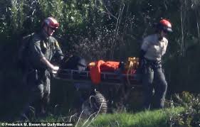 Search teams have found the bodies of a new zealand man and two australians whose helicopter crashed in a remote area of papua new guinea a week ago. California Rescuers Recover All 9 Bodies From Kobe Bryant S Helicopter Crash Scene Ghana News 1957
