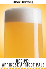 Recipe Aprikose Apricot Pale In 2020 Craft Beer Recipes Home Brewing Beer Fruit Beer