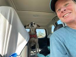 Andy Ramsay's Fun Day Out as a Foster Dog