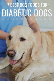 What a perfect diet for a dog with diabetes!. Pin On Dog Nutrition 101