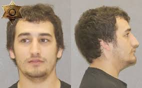 Wellsville Regional News (dot) com: Livingston County: Traffic Stop leads  to Arrests