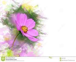 Cosmos Flower Watercolor Effect Cosmos Flowers Watercolor Flowers Flower Images