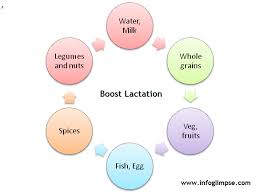 Other lactogenic foods worth mentioning. Chikku World 8 Foods To Increase Breast Milk Production