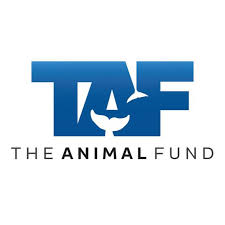 The joshua fund dog rescue is asking for donations. Taf The Animal Fund Home Facebook