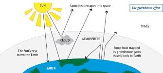 A Diagram Of Global Warming Get Rid Of Wiring Diagram Problem