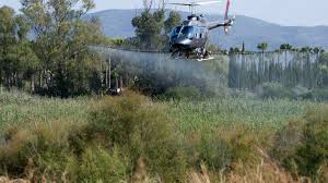 Emiliano y la varita El clip, titulado simplemente La