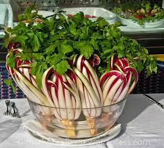 Trevisan succeeded rival giovanni vitelleschi to the benefices of traù and. Bella Italia Venezia Wie Man Radicchio Di Treviso Serviert Lebensart Im Markgraflerland