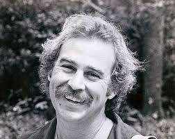 Cheeseburger in Paradise Image Discussion