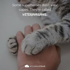 Explore our collection of motivational and famous quotes by authors you know and love. Memes About Being A Vet Veterinary Medicine Quotes Veterinarian Quotes Vet Tech Quotes