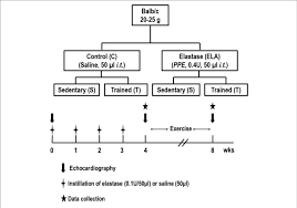 schematic flow chart and timeline of study design c