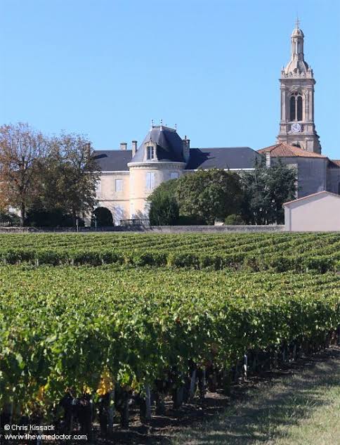 Saint-Estèphe Gravel Vineyards