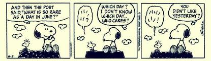 Pin By Tina Spotts On Peanuts Snoopy And Woodstock Bard Woodstock